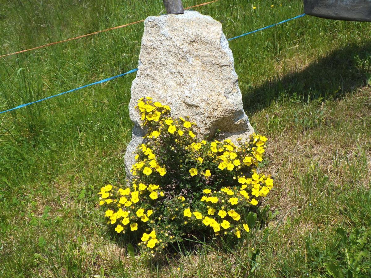 Steierhof Leilighet Feldthurns Eksteriør bilde